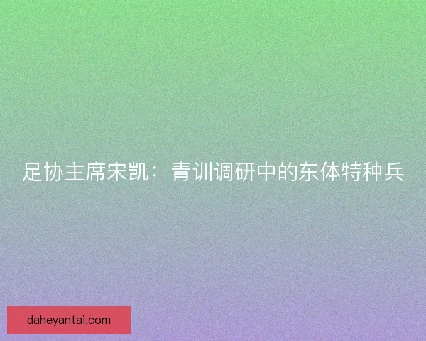 足协主席宋凯：青训调研中的东体特种兵